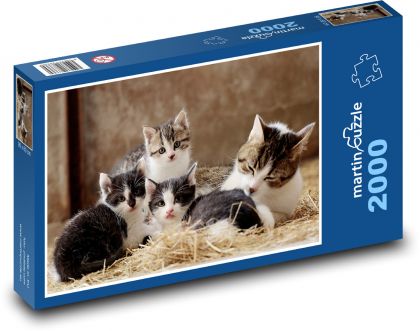 Kočičí rodina - kotě, mazlíčci - Puzzle 2000 dílků, rozměr 90x60 cm