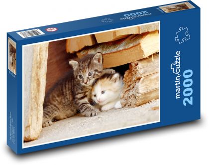 Kotek - kotek, zwierzak - Puzzle 2000 elementów, rozmiar 90x60 cm