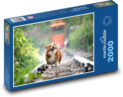 Dog corgi - tracks, train - Puzzle 2000 pieces, size 90x60 cm 