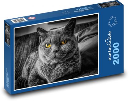 British Shorthair Cat - Puzzle 2000 pieces, size 90x60 cm 