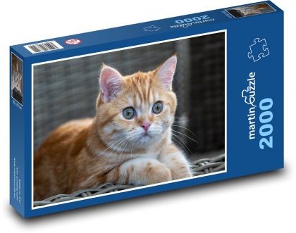 Katzenmehl, Tier - Puzzle - 2000 Teile