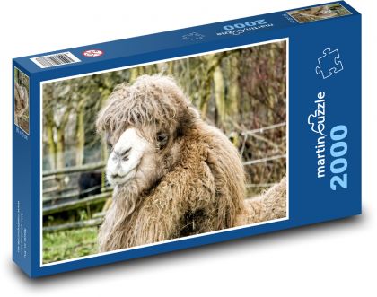 Ťava - hlava, zoo - Puzzle 2000 dielikov, rozmer 90x60 cm 