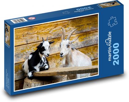 Koza - kozy, rohy - Puzzle 2000 dílků, rozměr 90x60 cm