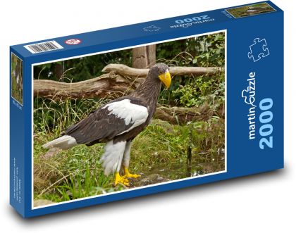 Orel - dravec, dravý pták - puzzle 2000 dílků