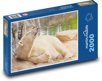Polar bear - Alaska, mammal - Puzzle 2000 pieces, size 90x60 cm 