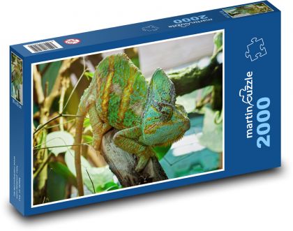 Chameleon - lizard, reptile - Puzzle 2000 pieces, size 90x60 cm 