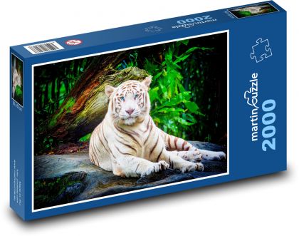 Biely tiger - zviera, zoo - Puzzle 2000 dielikov, rozmer 90x60 cm 