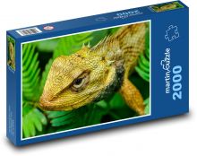 Ještěrka - plaz, zvíře Puzzle 2000 - 90x60 cm