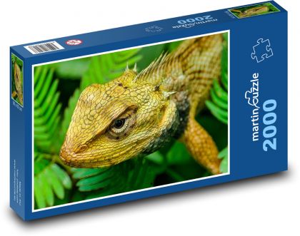 Lizard - reptile, animal - Puzzle 2000 pieces, size 90x60 cm 