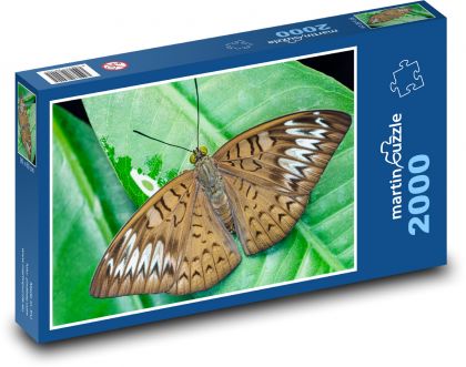 Motýl - okřídlený hmyz, křídla - Puzzle 2000 dílků, rozměr 90x60 cm