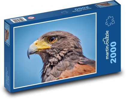 Jestřáb - zvíře, pták - Puzzle 2000 dílků, rozměr 90x60 cm