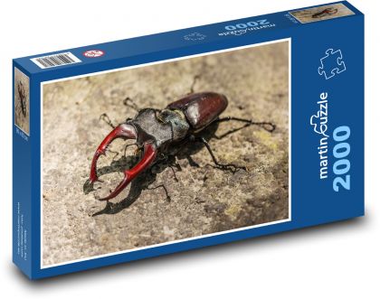 Roháč - brouk, hmyz - Puzzle 2000 dílků, rozměr 90x60 cm