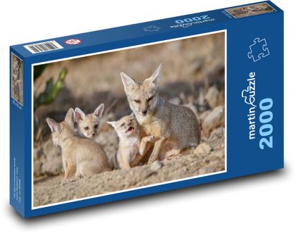 Lišky - zvířata, mláďata - Puzzle 2000 dílků, rozměr 90x60 cm
