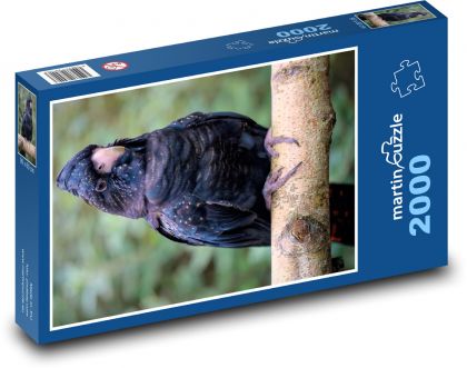 Kakadu černý - pták, zvíře - puzzle 2000 dílků
