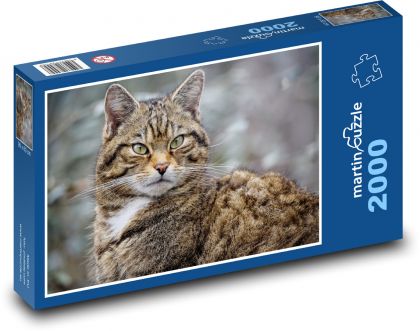 Cat - animal, pet - Puzzle 2000 pieces, size 90x60 cm 