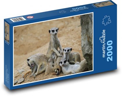 Surikata - rodina, zviera - Puzzle 2000 dielikov, rozmer 90x60 cm 