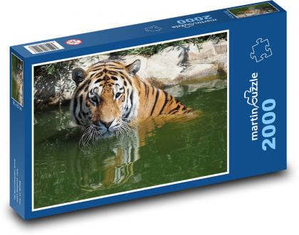 Tiger vo vode - zviera, cicavec - Puzzle 2000 dielikov, rozmer 90x60 cm 