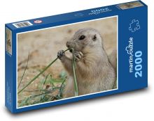 Pes - hlodavec, zviera Puzzle 2000 dielikov - 90 x 60 cm