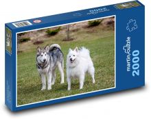 Hunde - Haustiere, Malamute Puzzle 2000 Teile - 90 x 60 cm