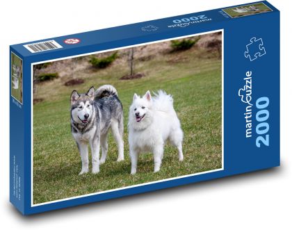 Hunde - Haustiere, Malamute - Puzzle - 2000 Teile