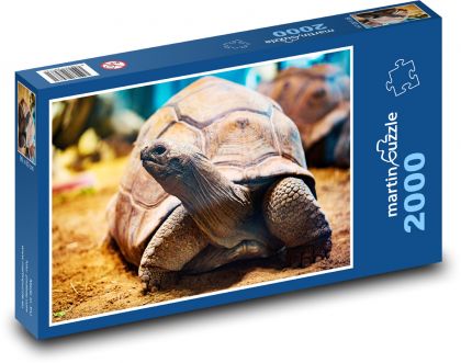 Želva - zvíře, plaz - Puzzle 2000 dílků, rozměr 90x60 cm