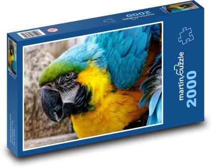 Parrot - bird, zoo - Puzzle 2000 pieces, size 90x60 cm 