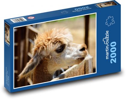 Alpaka - zvíře, zoo - puzzle 2000 dílků