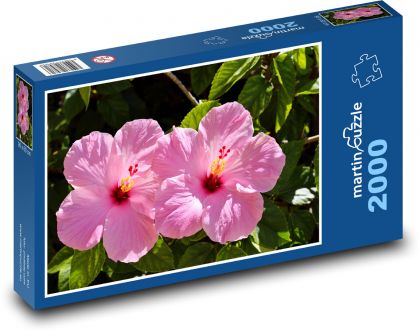 Růžový ibišek - květ, zahrada - Puzzle 2000 dílků, rozměr 90x60 cm