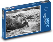 Vydra - potrava, zviera Puzzle 2000 dielikov - 90 x 60 cm