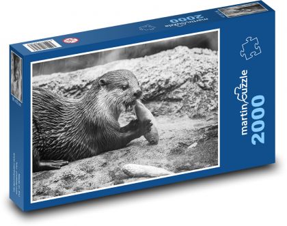 Vydra - potrava, zviera - Puzzle 2000 dielikov, rozmer 90x60 cm 