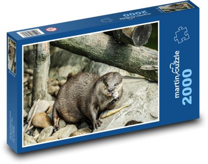 Otter - eat, mammal - Puzzle 2000 pieces, size 90x60 cm 