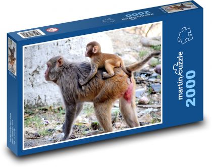 Opice - paviáni, primáti - puzzle 2000 dílků