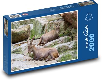 Kozorožec - zviera, skaly - Puzzle 2000 dielikov, rozmer 90x60 cm 
