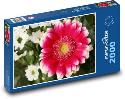 Gerbera - kwiat, kwiat - Puzzle 2000 elementów, rozmiar 90x60 cm