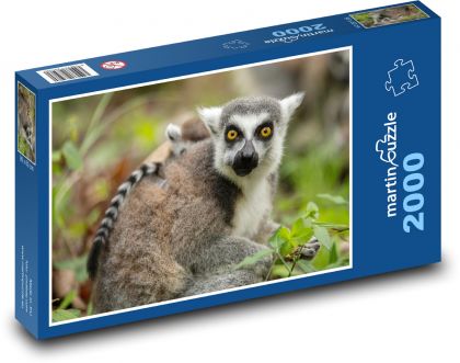 Lemur - matka a mládě, zvíře - Puzzle 2000 dílků, rozměr 90x60 cm