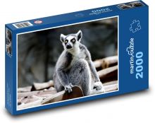 Lemur - savec, zvíře Puzzle 2000 dílků - 90 x 60 cm