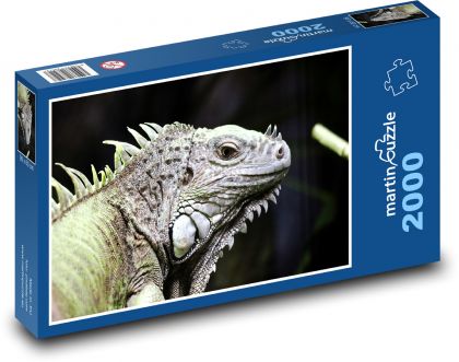 Ještěrka - zvíře, plaz - Puzzle 2000 dílků, rozměr 90x60 cm