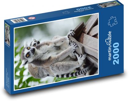 Lemurs - animals, mammals - Puzzle 2000 pieces, size 90x60 cm 