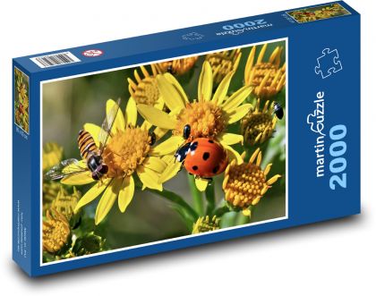 Slunéčko sedmitečné - včela, květina  - Puzzle 2000 dílků, rozměr 90x60 cm