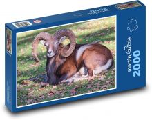 Muffel - Widder, Tier Puzzle 2000 Teile - 90 x 60 cm