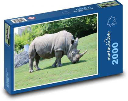 Rhinoceros - animal, Africa - Puzzle 2000 pieces, size 90x60 cm 