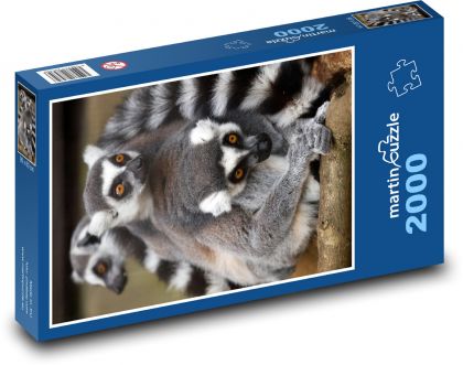Zvíře - lemur, savec - Puzzle 2000 dílků, rozměr 90x60 cm