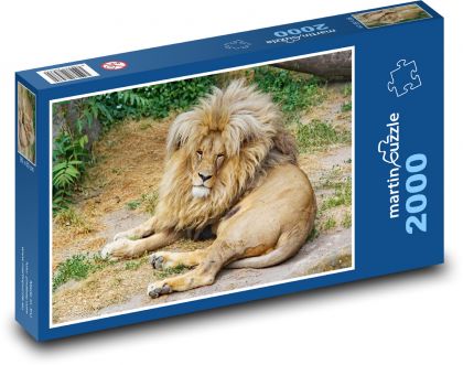 Lev - zviera, zviera - Puzzle 2000 dielikov, rozmer 90x60 cm 