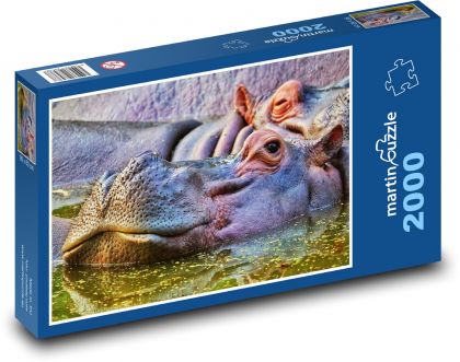 Hroch - zvíře, zoo - puzzle 2000 dílků