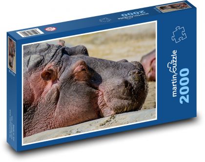 Nilpferd - Tier, Zoo - Puzzle - 2000 Teile