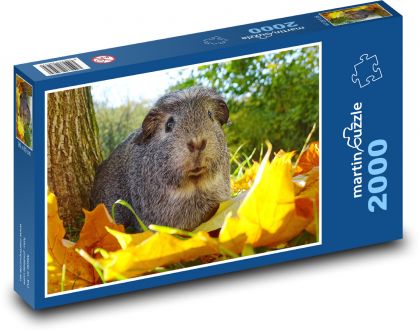 Morča - jeseň, zviera - Puzzle 2000 dielikov, rozmer 90x60 cm 