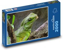 Ještěr - terárium, plaz Puzzle 2000 - 90x60 cm