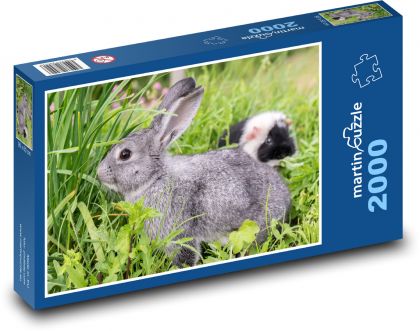 Králik - zviera, hlodavec - Puzzle 2000 dielikov, rozmer 90x60 cm 