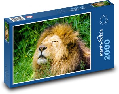 Lev - zvíře, šelma - puzzle 2000 dílků