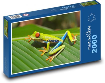 Frosch - Tier, Wettermann - Puzzle - 2000 Teile